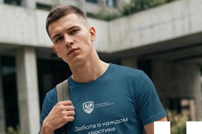 Брендбук для ветеринарной службы Челябинской области: как студенты МИДиС обновляют визуальный язык госорганизаций