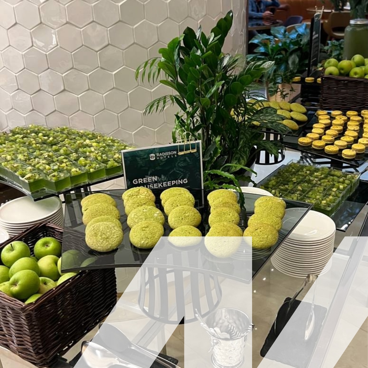 Об оплачиваемой практике в Radisson Blu Olimpiysky