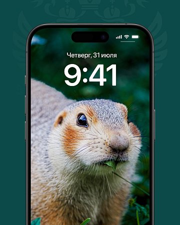 МИДиС в прицеле Минобранауки