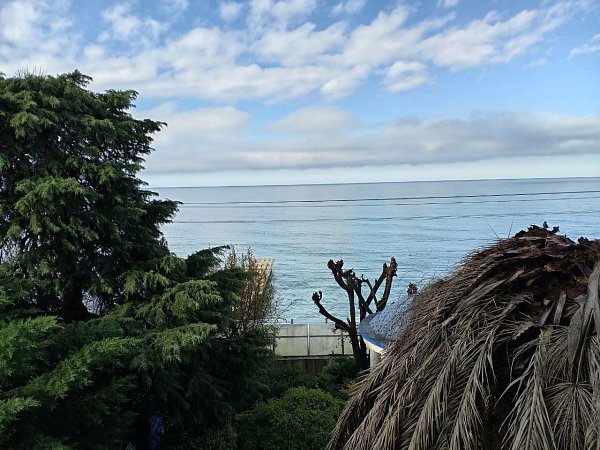 Оплачиваемая практика в Grand Karat Сочи: впечатления студента МИДиС