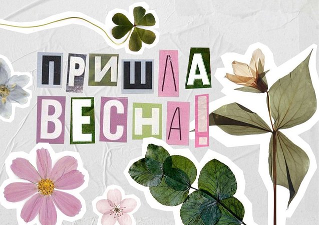 Дорогие девочки, девушки, женщины МИДиС!